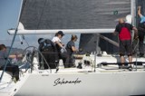 salamander gbr1508r whyw24 sun 800 5451
